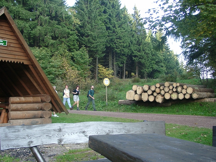 09300012.JPG - Oberhof: Auf dem Rueckweg zum Waldhaus Ruppertus.