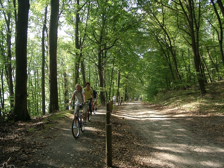 09070004.JPG - Fahrradtour nach Feldberg: Es ging sogar etwas bergauf.