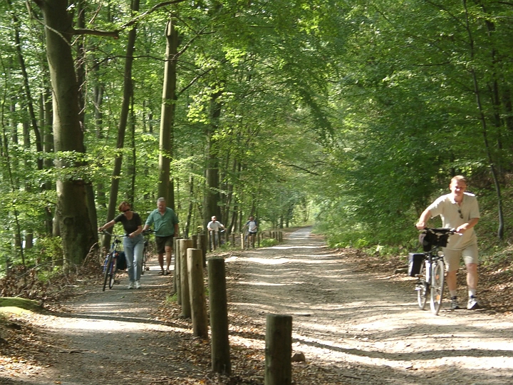 09070005.JPG - Fahrradtour nach Feldberg: Einige mussten die Berge hinauf schieben.