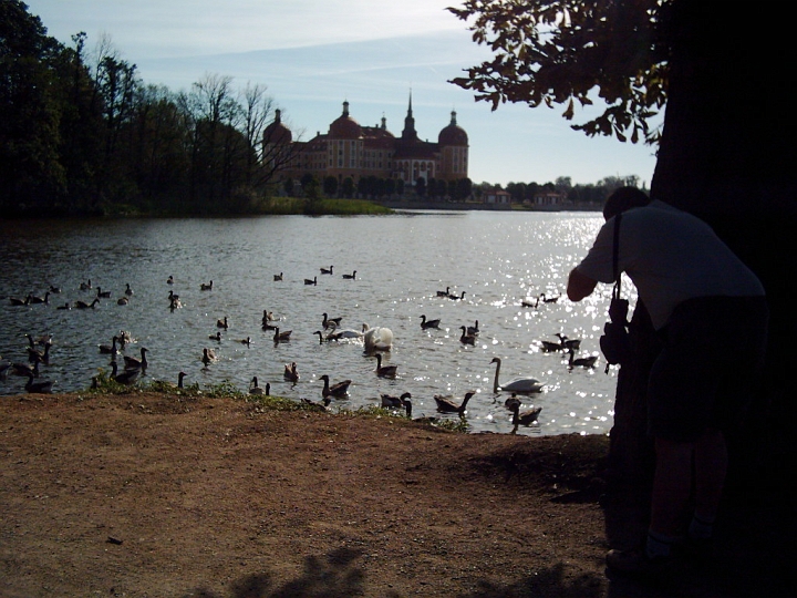 Klassentreffen52.JPG - Schloss Moritzburg vom Nordwestufer des Sees gesehen