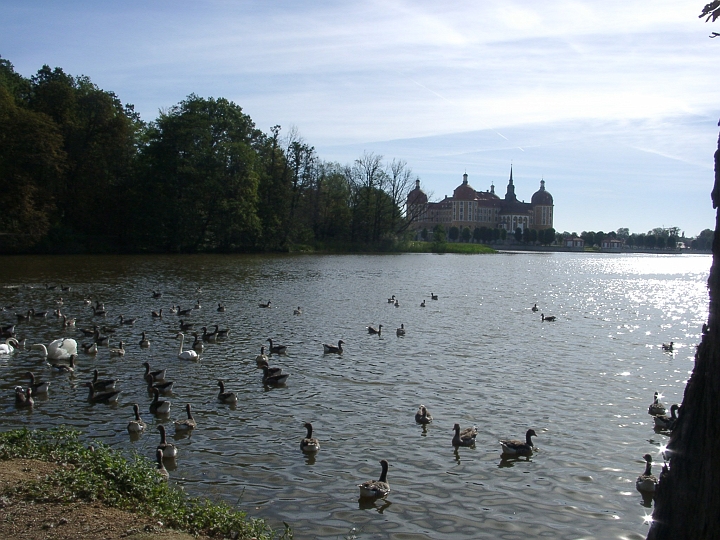 09180001.JPG - Schloss Moritzburg vom Nordwestufer des Sees gesehen 1