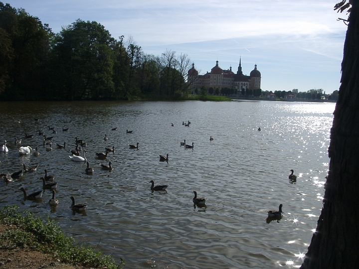 09180002.JPG - Schloss Moritzburg vom Nordwestufer des Sees gesehen 2