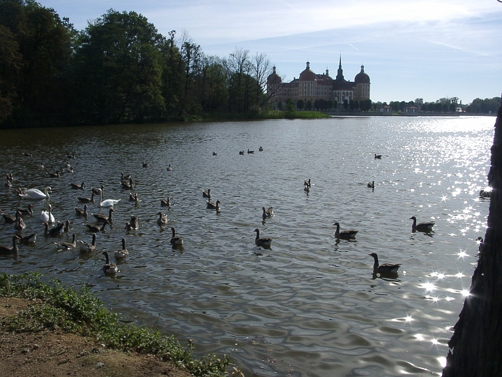 09180003.JPG - Schloss Moritzburg vom Nordwestufer des Sees gesehen 3