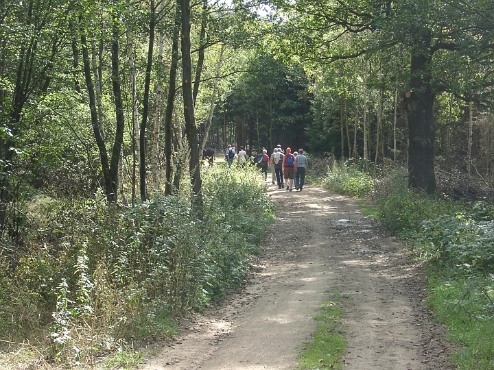 09180007.JPG - auf der Wanderung