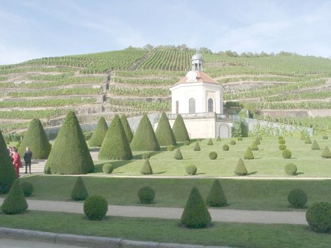 Schloss Wackerbart: Blick zum Schloss Belvedere