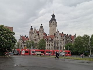 Bild 20250503_154650.jpg, stark verkleinert