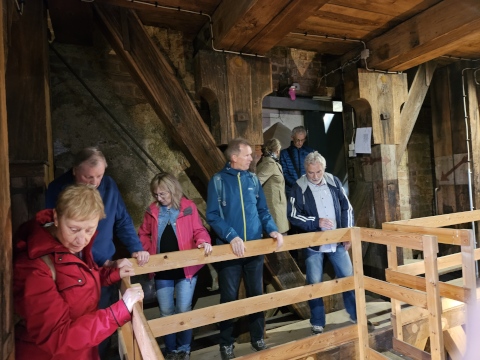 Bild 20250503_175618.jpg, stark verkleinert