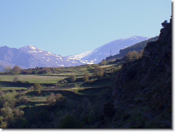 CIMG0016.JPG - Wanderung bei Bubión: Blick zur Sierra Nevada mit dem Pico Veleta (3398m, zweithöchster Berg des spanischen Festlandes)