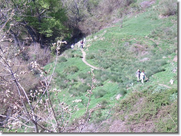 CIMG0025.JPG - Wanderung bei Bubión: beim Aufstieg zieht sich die Wandergruppe weit auseinander