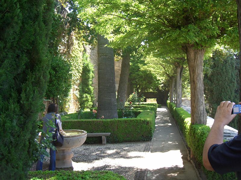 CIMG0111.JPG - Granada/Alhambra: Adarves-Garten in der Alcazaba
