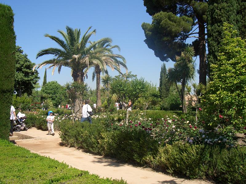 CIMG0118.JPG - Granada/Alhambra: blühende Pracht im Generalife (Garten des Architekten)