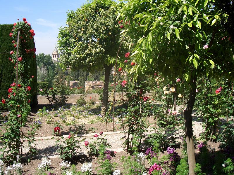 CIMG0123.JPG - Granada/Alhambra: Blütenpracht im Generalife (Garten des Architekten)