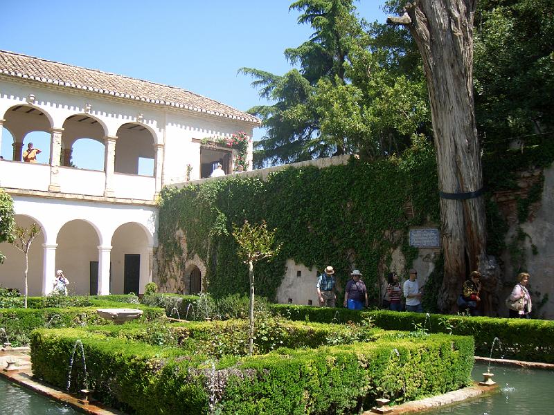CIMG0131.JPG - Granada/Alhambra: Im Patio de la Sultana (Hof der Sultanin) im Generalife