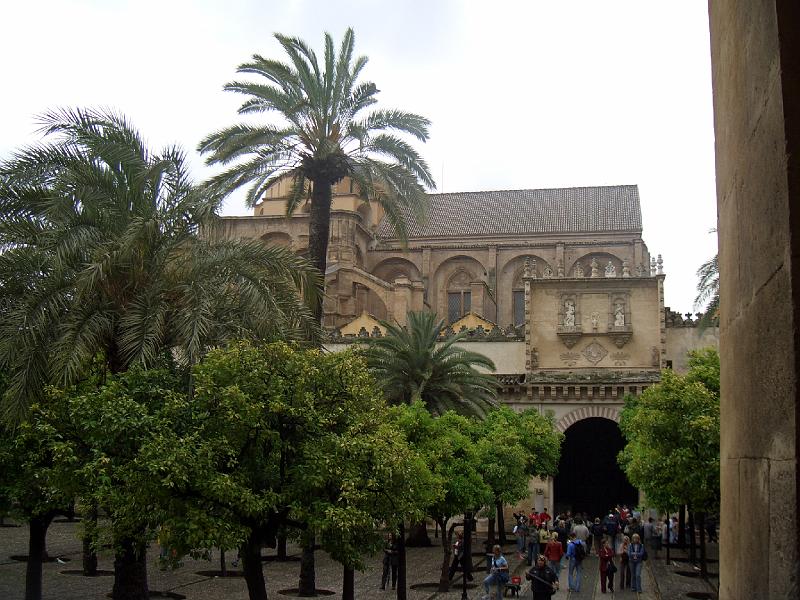 CIMG0190.JPG - Cordoba/Mezquita Catedral: im Garten vor der Kathedrale