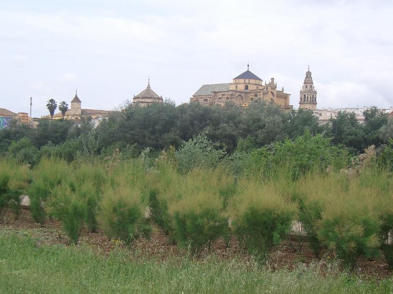 CIMG0211.JPG - Cordoba: Blick über den Guadalquivir(-Fluss) zur Mezquita Catedral