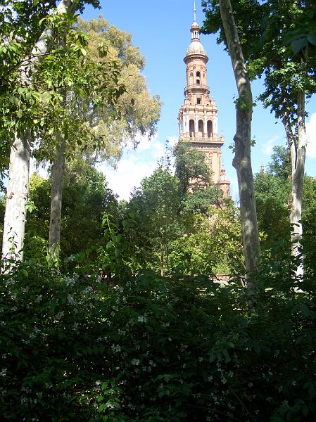 CIMG0217.JPG - Sevilla/Parque de María Luisa: Blick zu einem Turm des Plaza de Espana