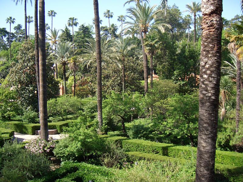 CIMG0239.JPG - Sevilla/Gärten des Königspalasts: Blick von einem Wehrgang auf die Gärten