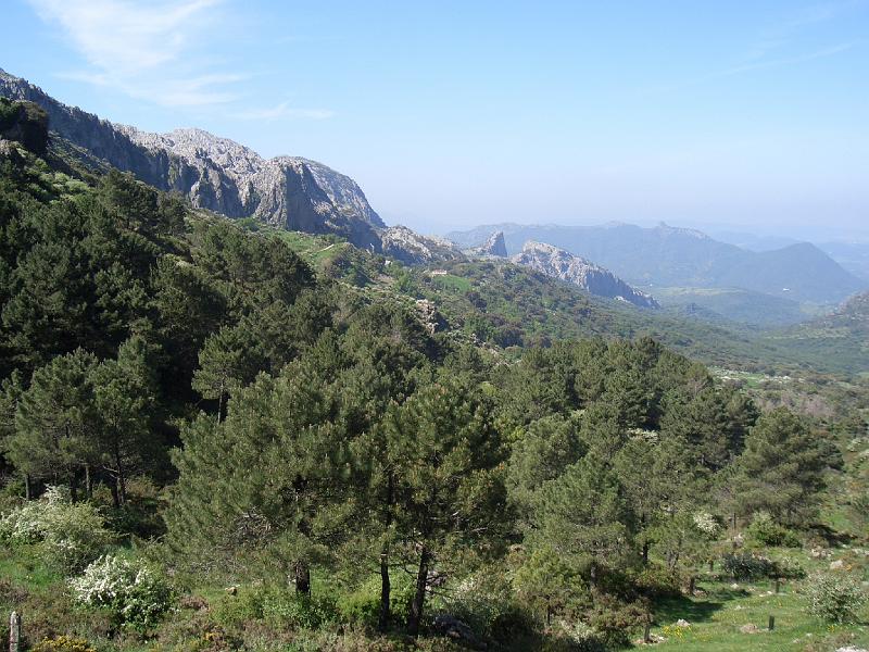 CIMG0273.JPG - Wanderung in der Sierra Grazalema: Beginn der Wanderung mit Blick auf die erste Etappe am linken Hang entlang bis zu der Zacke in der Bildmitte