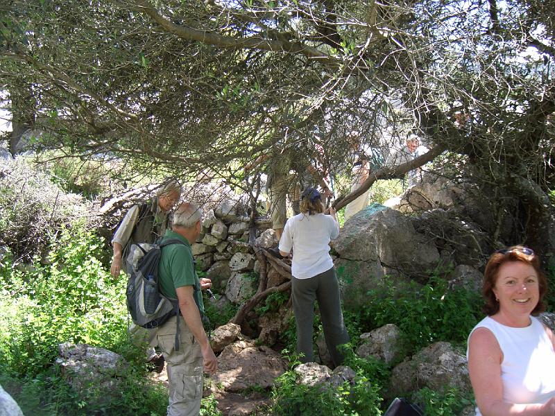 CIMG0274.JPG - Wanderung in der Sierra Grazalema: Picknickvorbereitungen