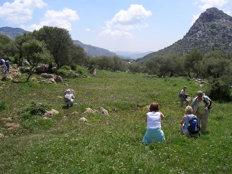 CIMG0277.JPG - Wanderung in der Sierra Grazalema: das Tempo verlangsamt sich weiter, als diese Blumenwiesen erreicht werden