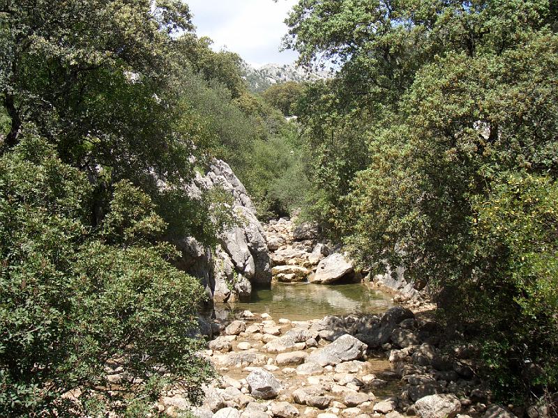 CIMG0285.JPG - Wanderung in der Sierra Grazalema: eine relativ wasserreiche Gegend