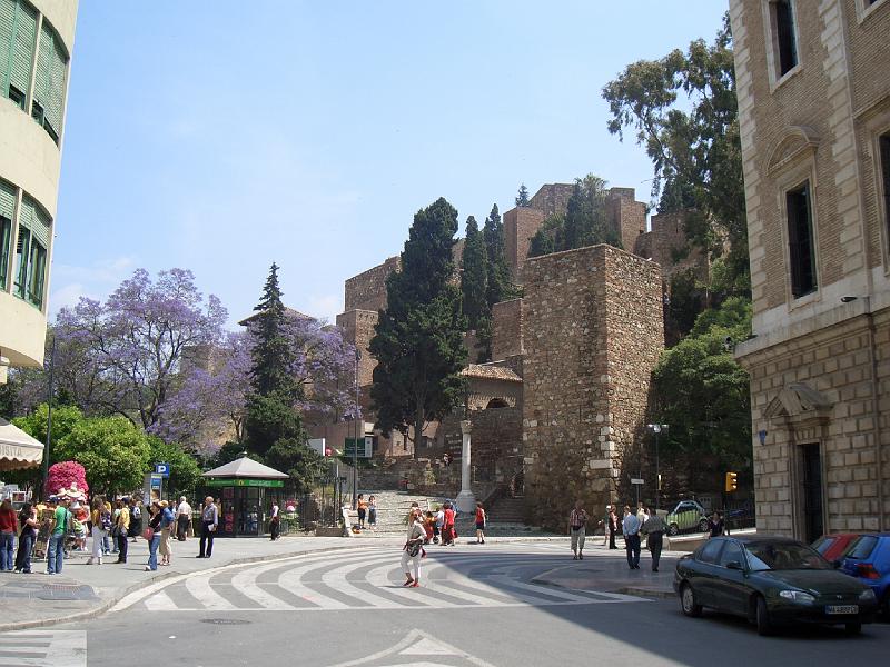 CIMG0307.JPG - Malaga: Eingang zur Zitadelle (Alcazaba) mit blaublühenden Jacaranda-Bäumen (Palisanderbäume)