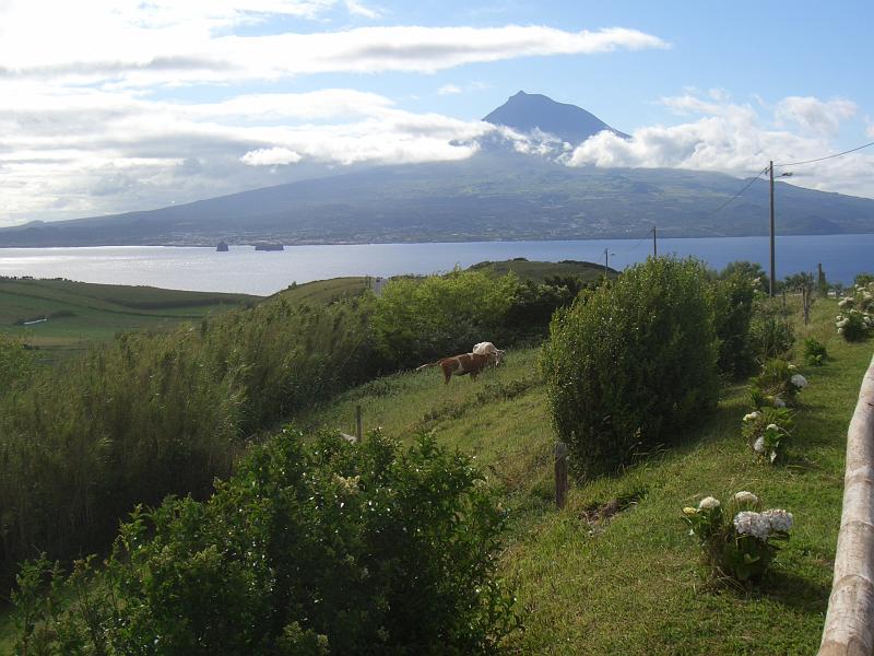 CIMG3344.JPG - Aussichtspunkt bei Conceicao: Blick zur Nacbarinsel Pico mit dem Pico (2351m) in den Wolken.