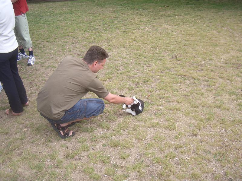 CIMG3482.JPG - Rastplatz beim Miradouro do Pisao: Es wird mit dem tierischen Besuch gespielt.