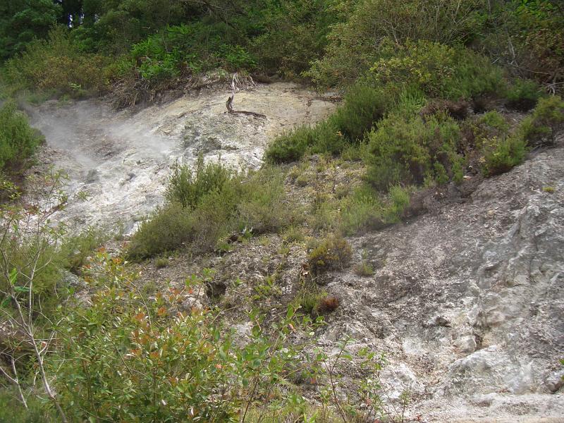 CIMG3457.JPG - bei Furnas: Die ersten sichtbaren Spuren vulkanischer Aktivitaet.