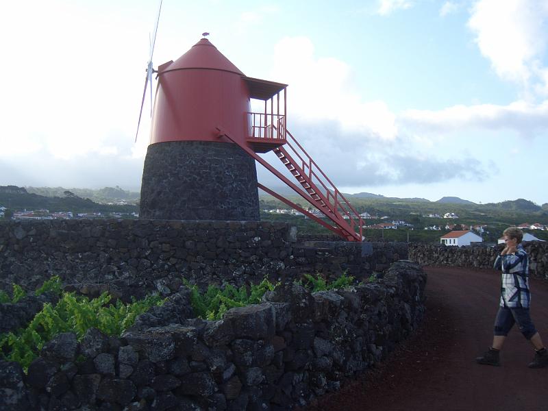 CIMG3373.JPG - bei Criaca Velha: Restaurierte Windmuehle im UNESCO-Weinanbaugebiet.