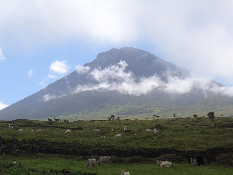 CIMG3382.JPG - Kurz vor Ende der Wanderung zeigt sich der Pico fast frei von Wolken.