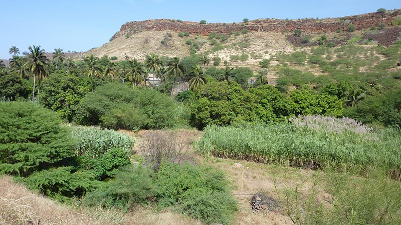 P1000095.JPG - Ribeira Grande: viele Palmen und Zuckerrohr (am oberen Bildrand ist oben der Start der Wanderung zu sehen).