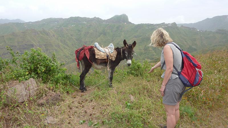 P1000127.JPG - Wanderung in der Serra da Malagueta: Tierfreundin Annerose mit einem Esel.