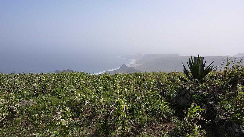 P1000266.JPG - Monte Verde (750m): Blick zur Nordostküste.