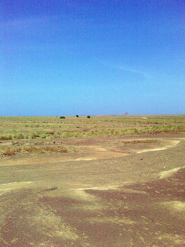 Foto-0016.jpg - Terra Boa: In der Wüste ist es nach dem reichlichen Regen im August viel Grünes zu sehen.