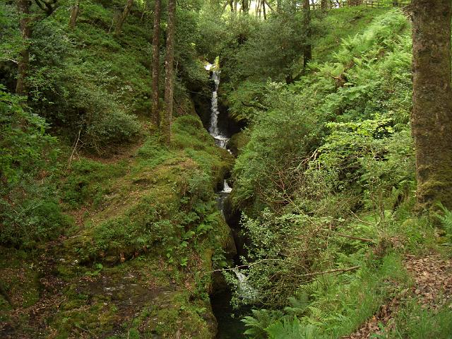 CIMG0480.JPG - Glendalough: es ging am Pollanass-Wasserfall vorbei