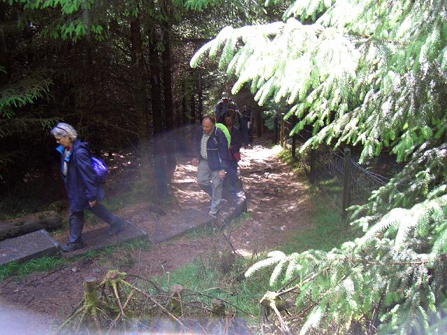 CIMG0481.JPG - Glendalough: Wanderung über Holzstege durch das Hochmoor