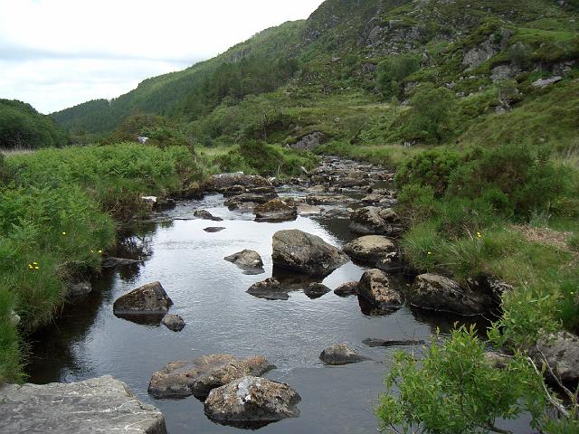 CIMG0566.JPG - Killarney Nationalpark: Der Owengarriff River fließt hier ganz gemächlich dahin