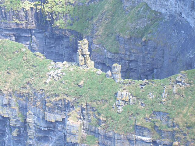 CIMG0603.JPG - Cliffs of Moher: in den Klippen wohnen viele Wasservögel, u.a. Papageientaucher