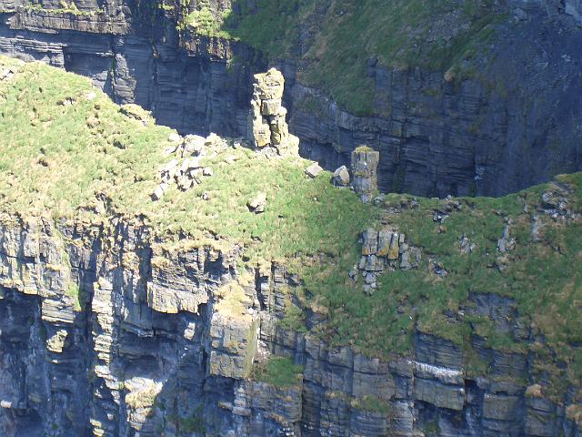 CIMG0605.JPG - Cliffs of Moher: in den Klippen wohnen viele Wasservögel, u.a. Papageientaucher