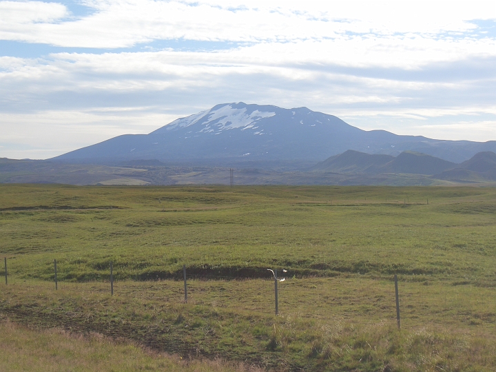 CIMG2371.JPG - N26: Blick zum Vulkan Hekla (1491m).