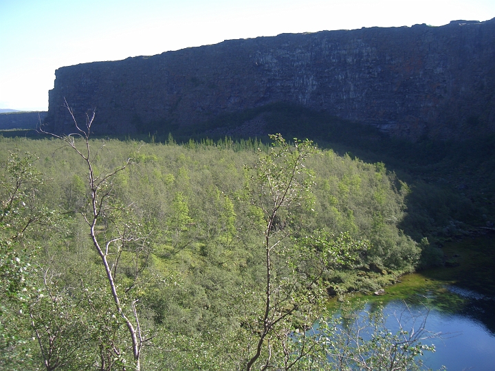 CIMG2496.JPG - Asbyrgi: Aus der Schlucht ist ein Kessel mit zwei Armen geworden.