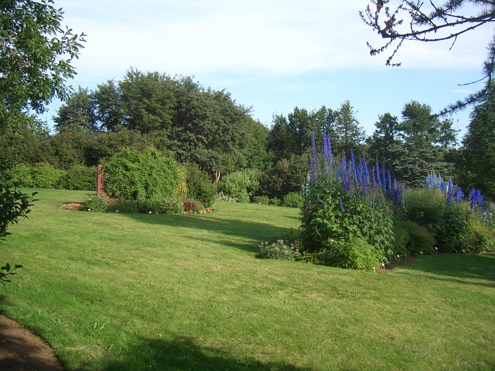 CIMG2433.JPG - Akureyri/Botanischer Garten: Blick auf eine Bluetenpracht.