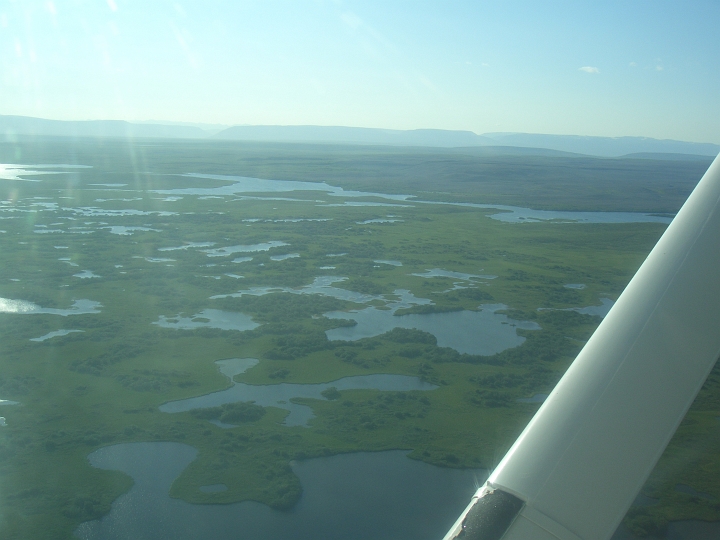 CIMG2562.JPG - Rundflug/Myvatn: Als der Myvatn sich zurueckzog, sind sehr viele kleine Seen zurueckgeblieben, ein Paradies fuer Wasservoegel.