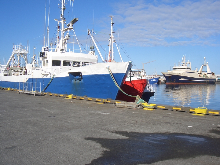 CIMG2784.JPG - Reykjavik/Hafen: Fischereischiffe