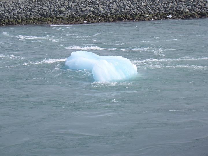 CIMG2677.JPG - Joekulsarlon: Treibender Eisberg im Fluss.