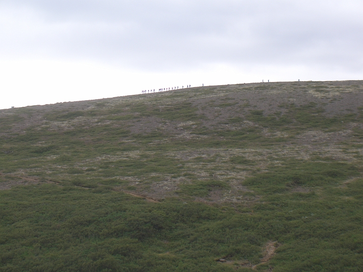 CIMG2689.JPG - Skaftafell: Auf dem Bergruecken hinter dem Svartifoss steigt eine franzoesische Wandergruppe ab (haben wir spaeter getroffen).