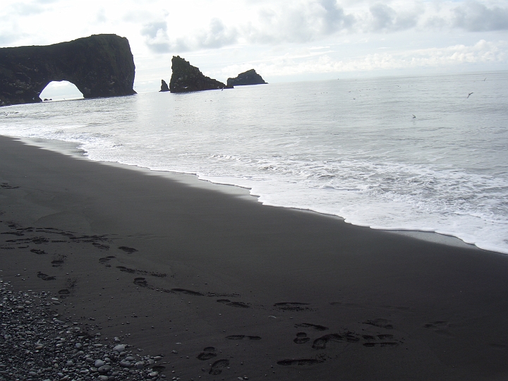 CIMG2756.JPG - am Kap Dyrholaey: Blick den Strand entlang auf das Felsentor (die Voegel im Wasser sind Papageientaucher, die in der Luft Seeschwalben und Moewen).