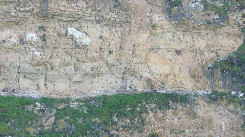 P1000654.JPG - Rio Duraton: Auf den gegenüberliegenden Felsvorsprüngen nisten Gänsegeier.