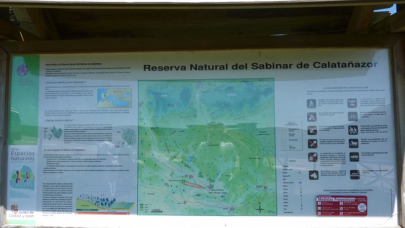 P1010042.JPG - Calatanazor: Tafel für den Naturpark mit sehr alten Sabina (Wacholder) Bäumen.